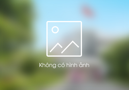 Báo cáo việc làm (Sinh viên tốt nghiệp năm 2019)